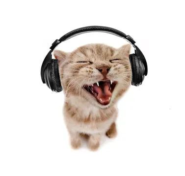 SoundCat artwork